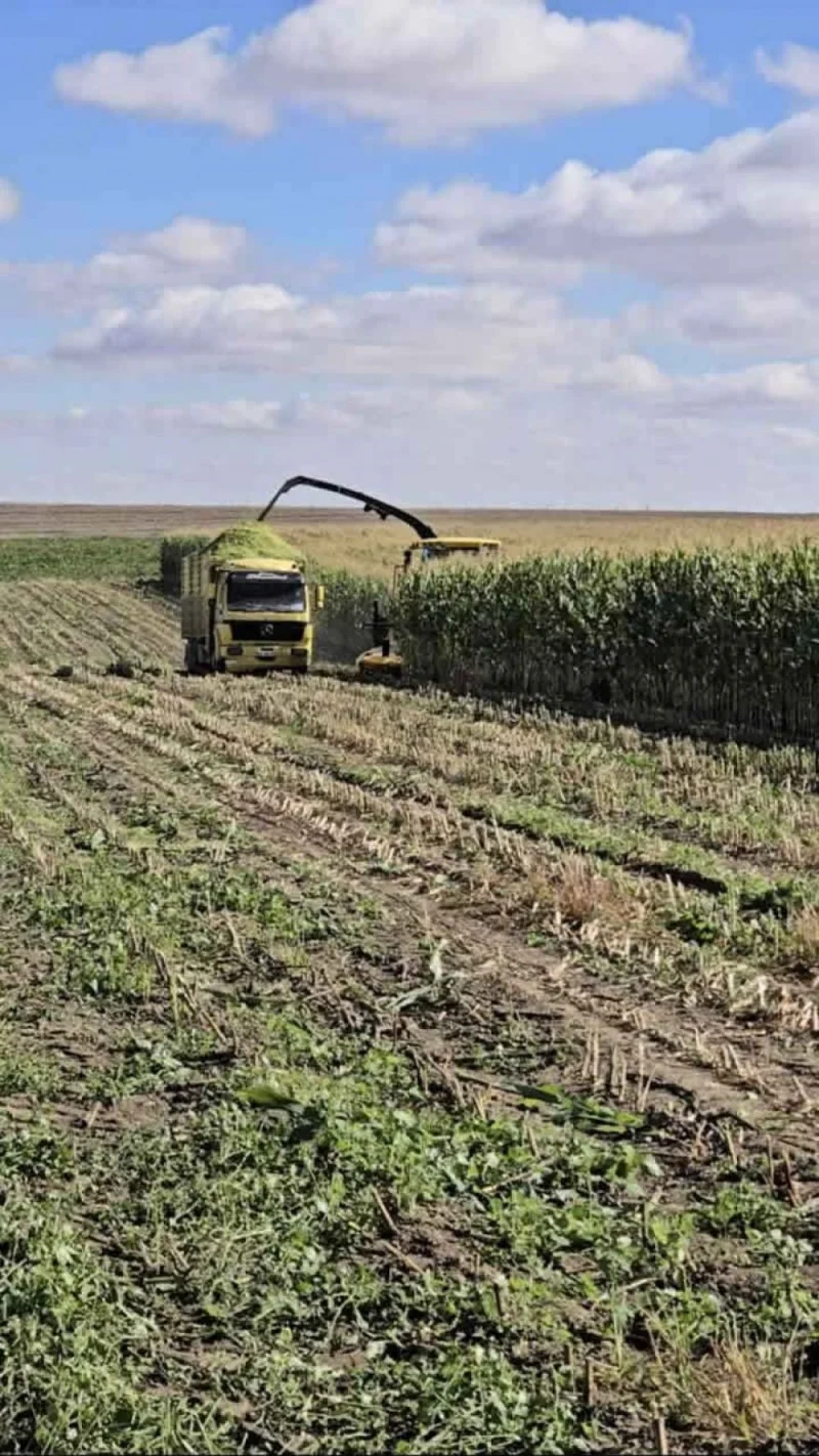 Biçerdöver ile Hasat