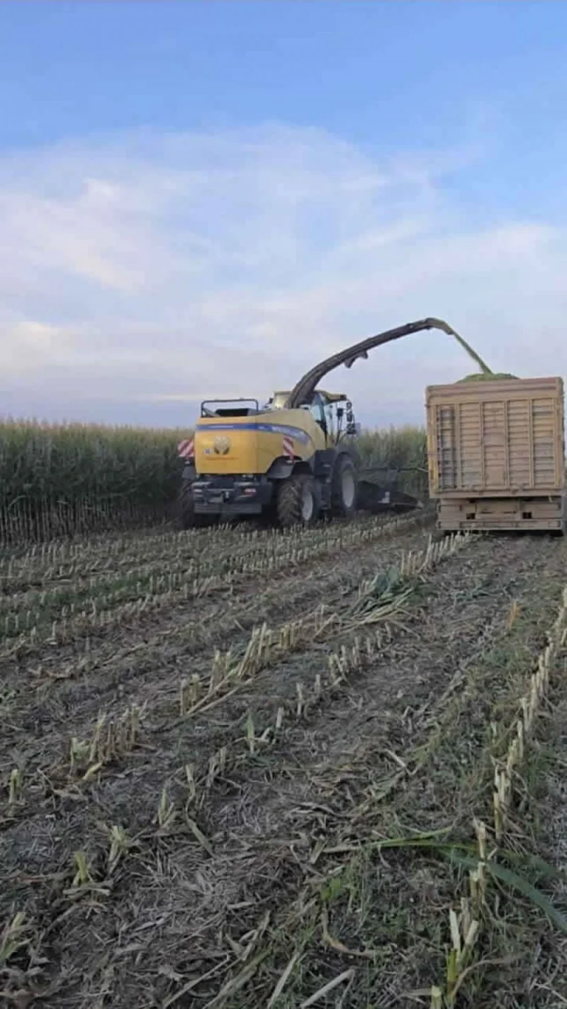 Biçerdöver ile Hasat